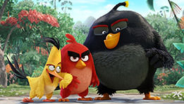 Angry Birds Le Film