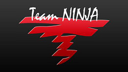 Team Ninja