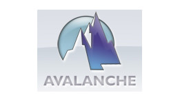 Avalanche Software