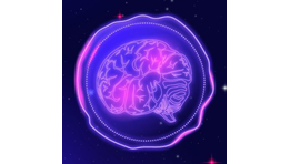 Brain Seal Entertainment