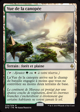Vue de la canopée