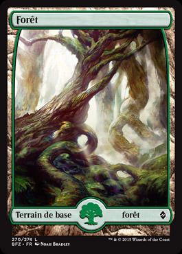Forêt
