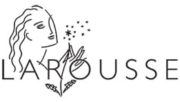 Avis Comprendre le Japon (Larousse) : Entre voyage spirituel et clichés touristiques