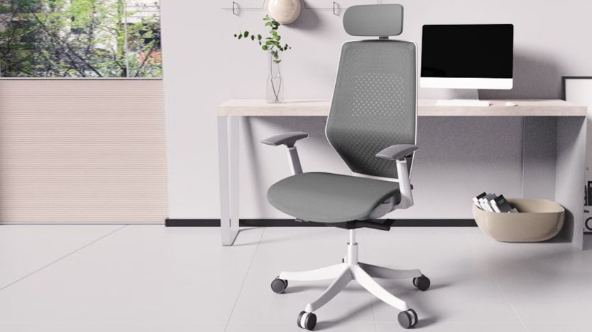 Avis Flexispot BS11 Pro. Une chaise ergonomique élégante, idéale pour le travail à la maison