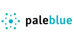 Avis Pale Blue : Les piles rechargeables directement par USB