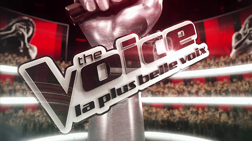 Test The Voice. Devenez la plus belle voix sur PS4 et Nintendo Switch