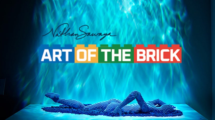 Art of the Brick