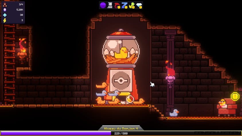 Les canards sont l&agrave;