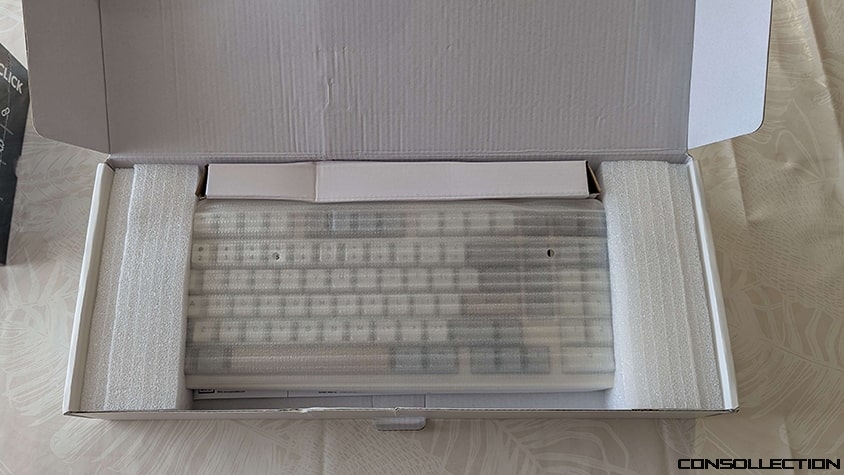 Epomaker Galaxy100