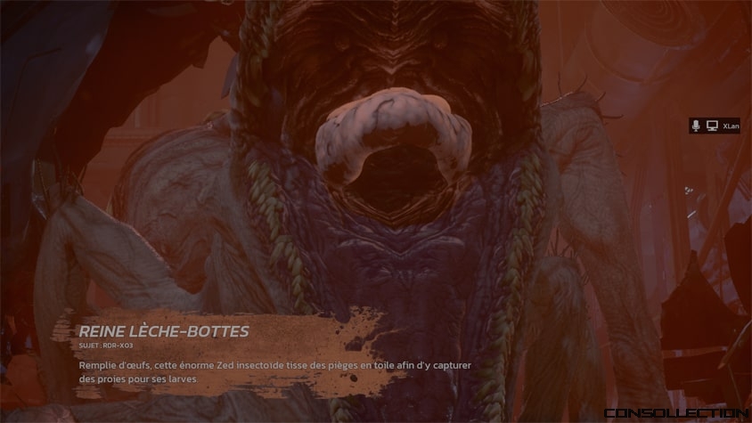 Killing Floor 3