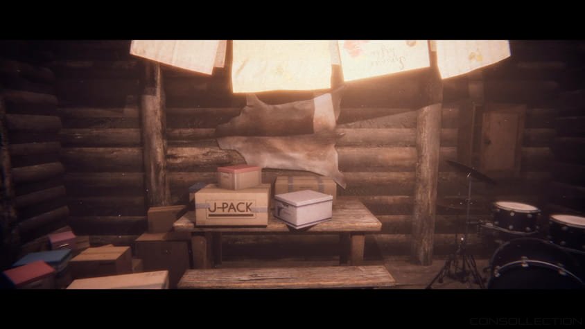 La cabane de Project Songbird
