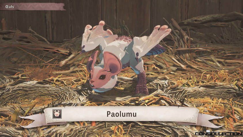 La collecte d'oeufs occupe une place centrale