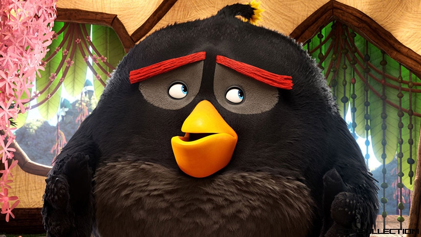 Le film Angry Birds - Bomb !