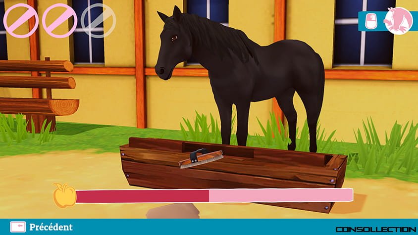 Le soin du cheval