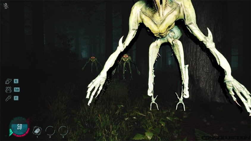 Mycelium: The Silent Contract
