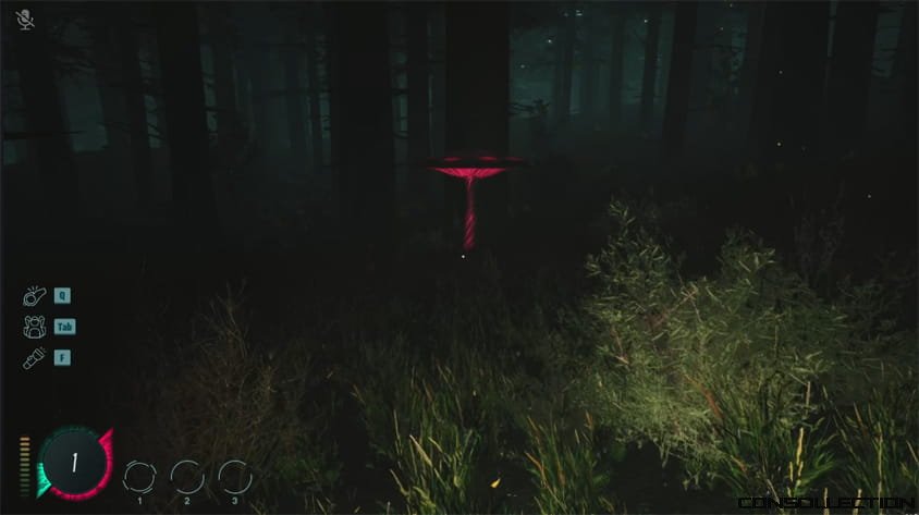 Mycelium: The Silent Contract
