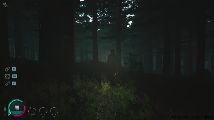 Mycelium: The Silent Contract
