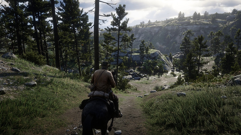 Red Dead Redemption 2 sur PC