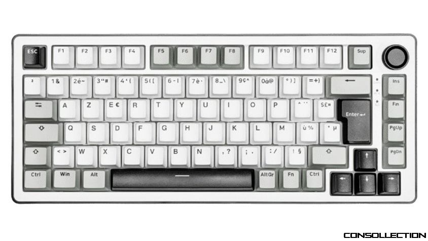 The G-Lab Keyz Elite 300 (GRG / WG)