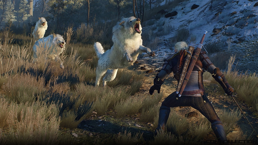 The Witcher 3: Wild Hunt