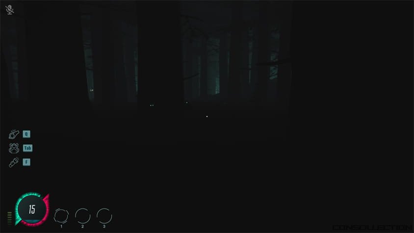 Une for&ecirc;t sombre