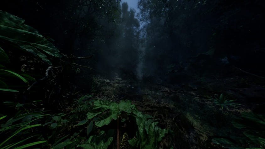 Une jungle sauvage